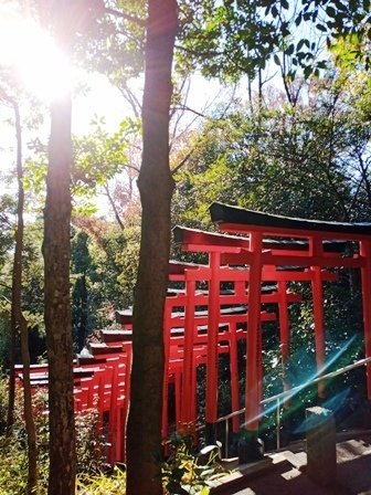 日吉神社　赤鳥居.jpg